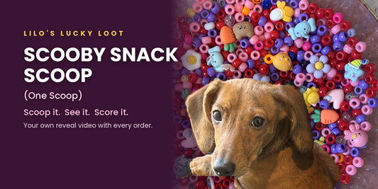 Lilo Snack Scoop